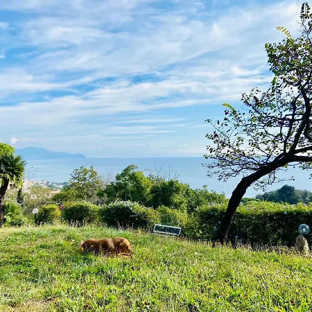 Holiday home Ippocampo Blanc *