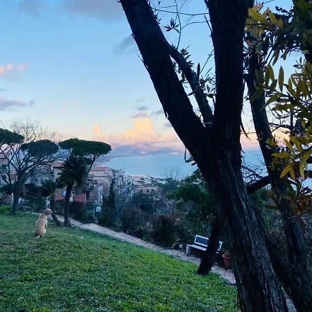 Ippocampo Blanc * San Felice Circeo