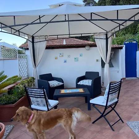 Ippocampo Blanc * San Felice Circeo