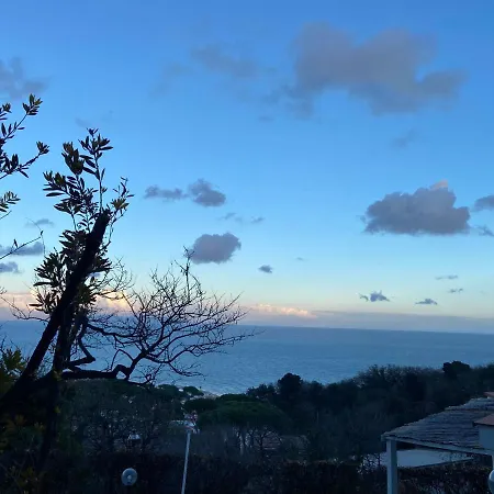 Ippocampo Blanc